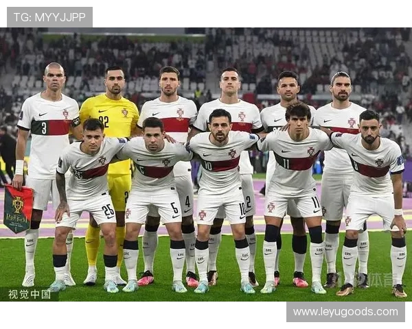 帕利尼亚巅峰期荣誉解析：葡萄牙体育联赛冠军主力身份